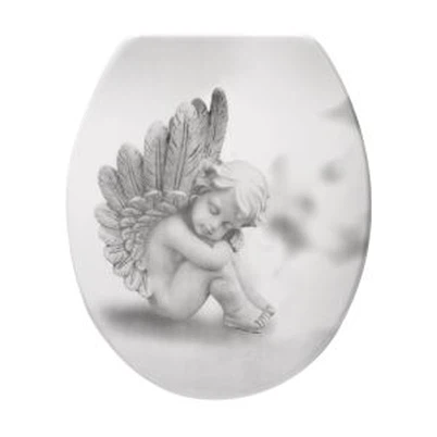 رنگین ٹوالیٹ نشست