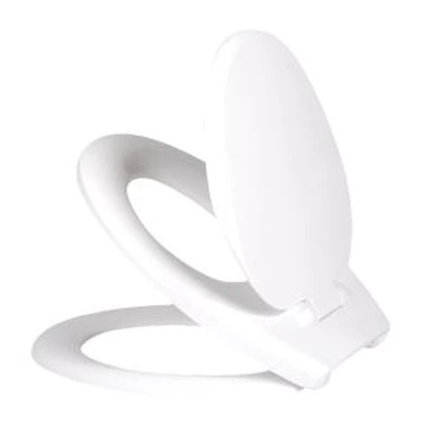 بچوں نے بیت الخلا کی نشست چھپی